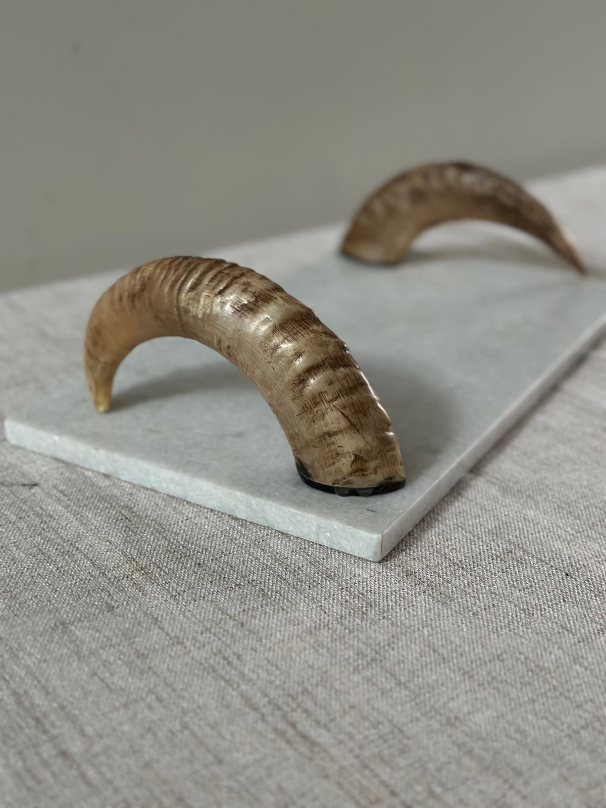 Ram Horn Valet Tray