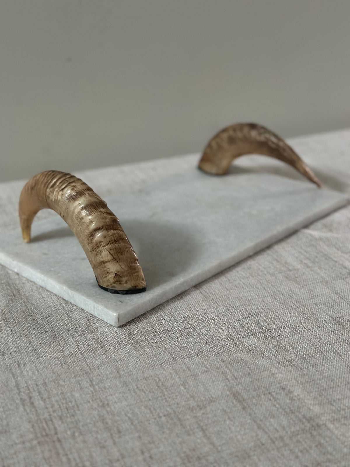 Ram Horn Valet Tray
